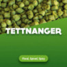 Hop pellets Tettnanger 100 g 0