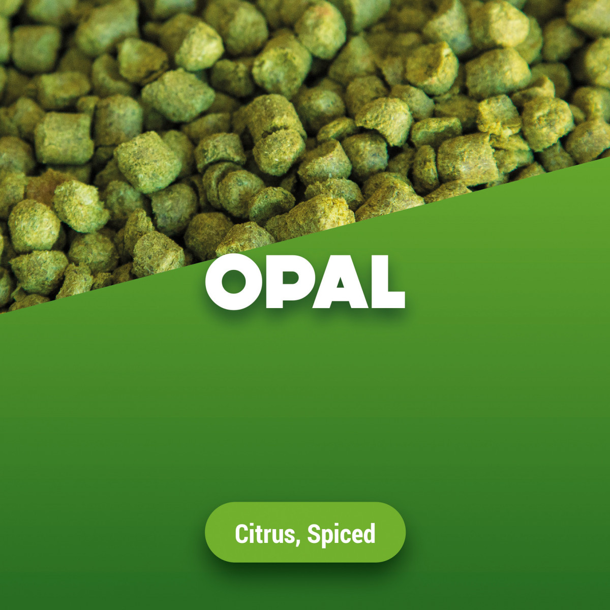 Hop pellets Opal 1 kg