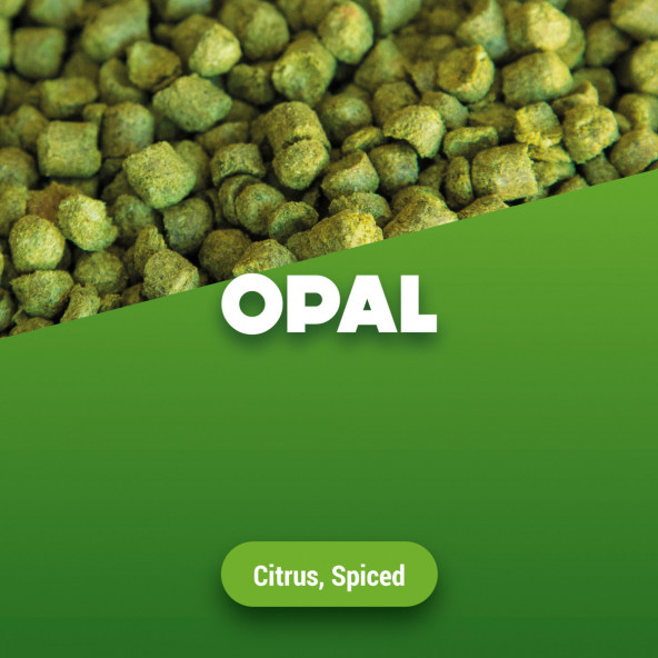 Hop pellets Opal 1 kg