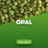 Hop pellets Opal 1 kg 0
