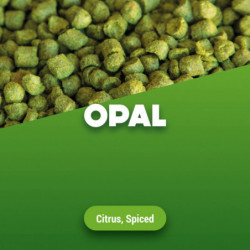 Hopfenpellets Opal 2020 5 kg