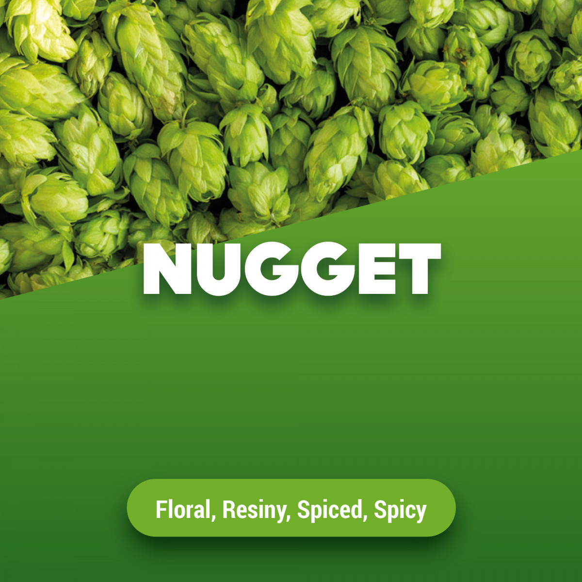 Rohhopfen Nugget 1 kg