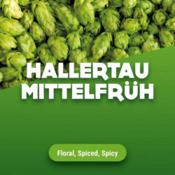 houblons en cones Hallertau Mittelfrüh 2019 5 kg