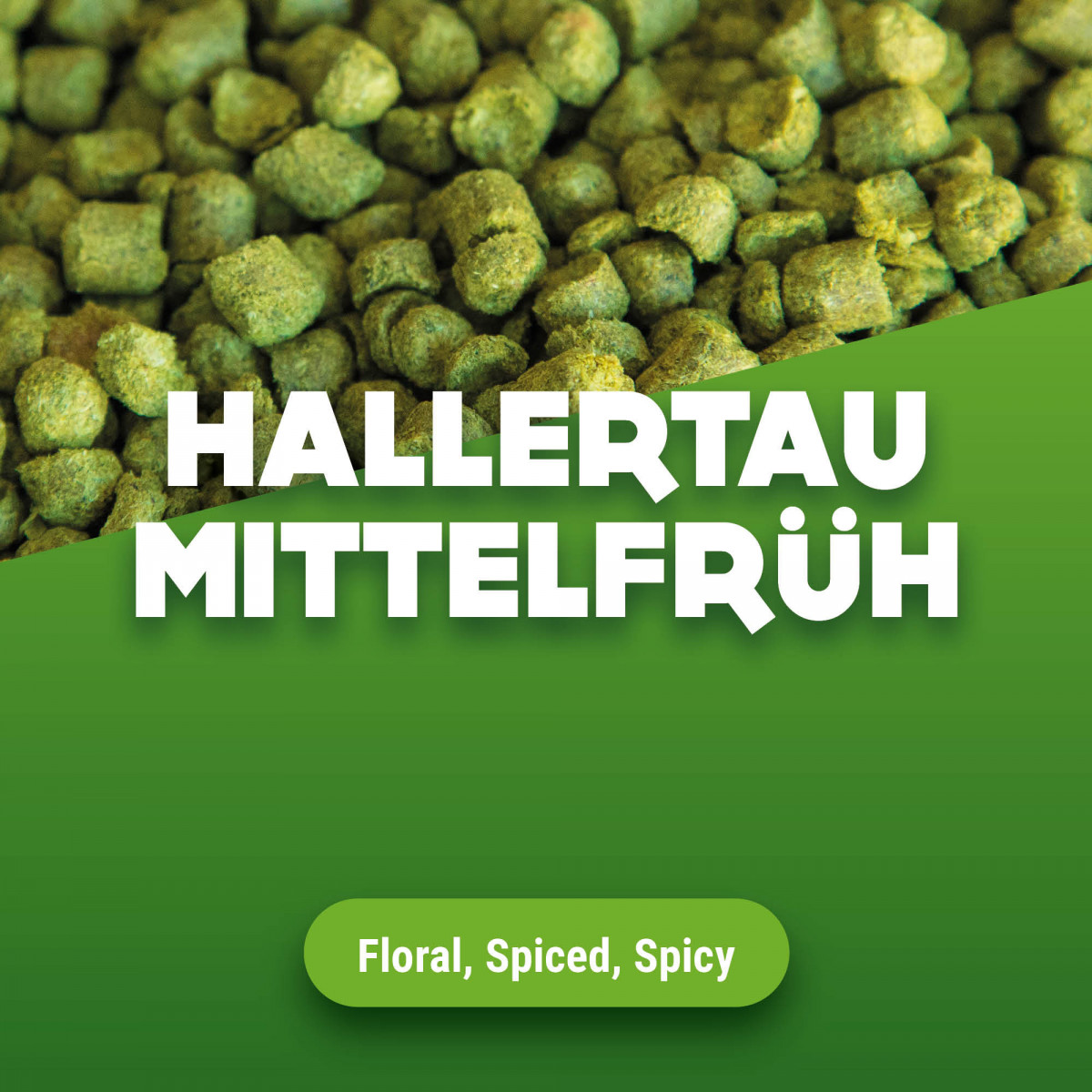 Hopkorrels Hallertau Mittelfrüh 1 kg