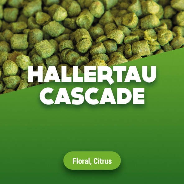 Hop pellets Hallertau Cascade 2023 5 kg