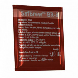 Fermentis dried brewing yeast SafBrew BR-8 5 g