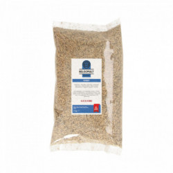 Belgomalt Malt de blé 4,5 - 5,5 EBC 1 kg