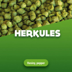 Hopfenpellets Herkules 2023 5 kg