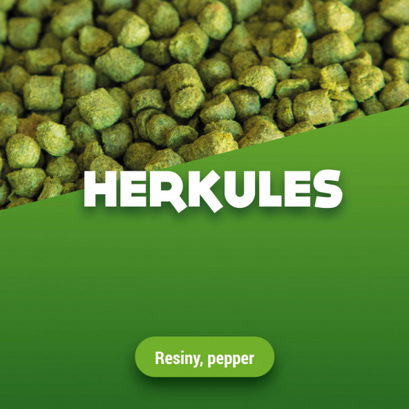 Hopfenpellets Herkules 2023 5 kg