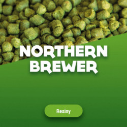 Hop pellets Northern Brewer 100 g