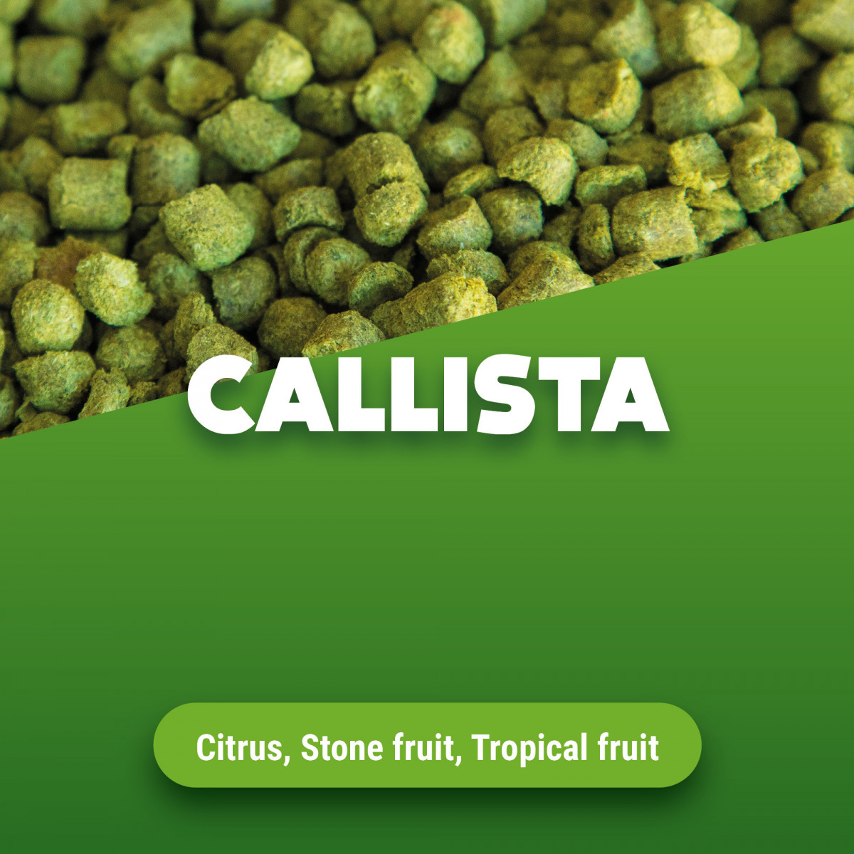 Hop pellets Callista 1 kg
