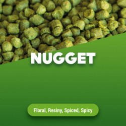 Houblons en pellets Nugget 100 g