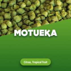 Hop pellets Motueka 2024 5 kg