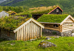 Entdecken Sie die Magie der norwegischen Kveik-Hefen